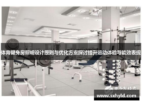 体育健身房照明设计原则与优化方案探讨提升运动体验与能效表现
