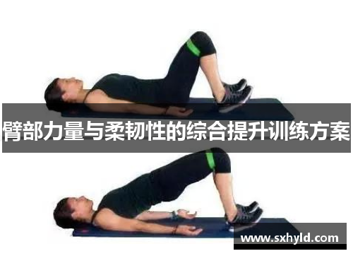 臂部力量与柔韧性的综合提升训练方案