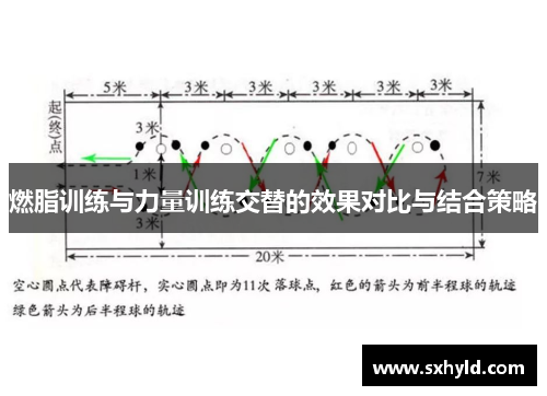 燃脂训练与力量训练交替的效果对比与结合策略